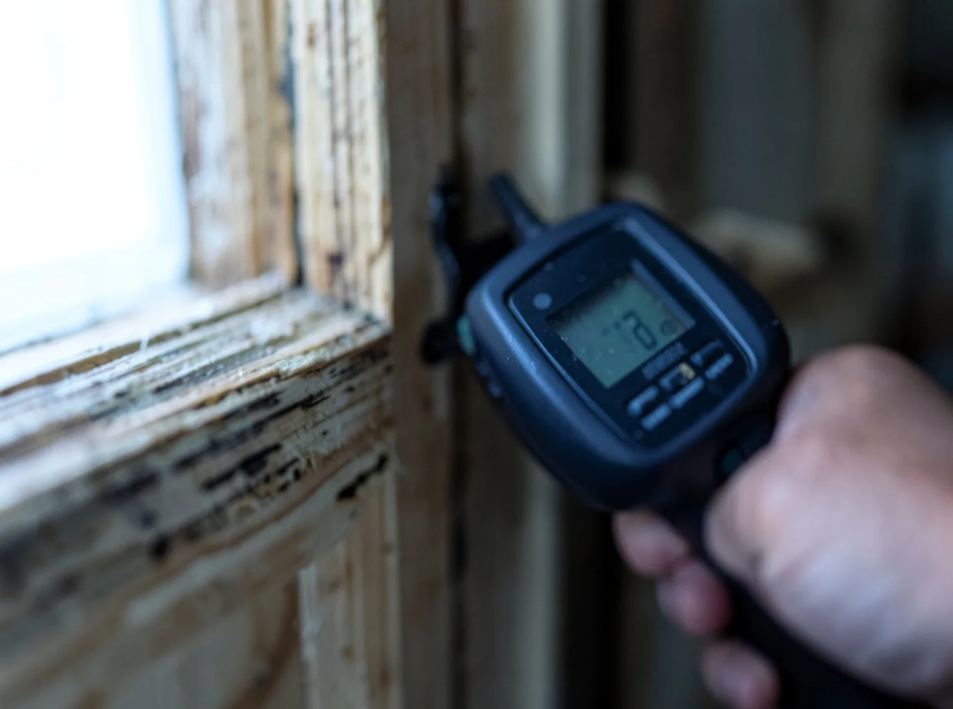 Moisture Inspection And Documentation in Ponder, TX